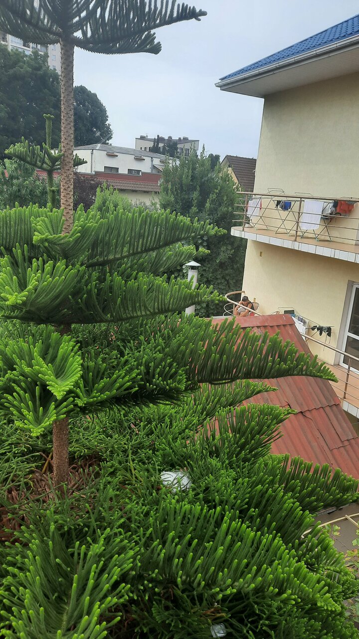 Гостиница Гостевой дом на Морозова Адлер-29