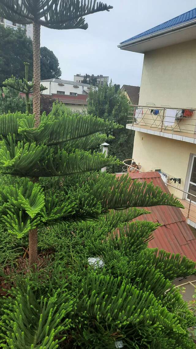 Гостиница Гостевой дом на Морозова Адлер-28